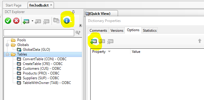 dictionary user options screenshot